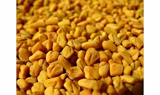 Fenugreek Seeds