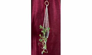macrame plant hanger, home decor, creative, descent, wall art, Eco friendly, sustainable