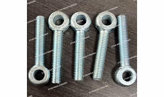 Ss 304 Eye bolt 12x100mm hole 8.5mm