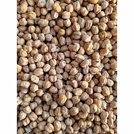 white chickpeas