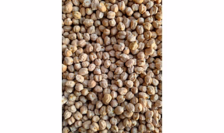 White Chickpeas