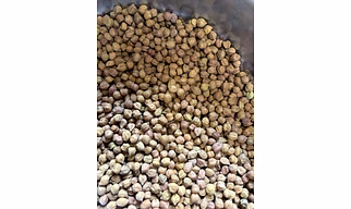 Filter chana