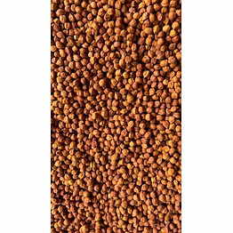 dried chickpeas