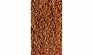 Dried Chickpeas