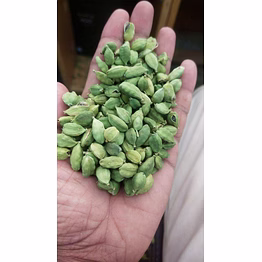green cardamom