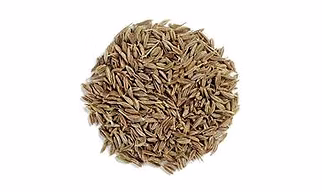 Cumin Seed
