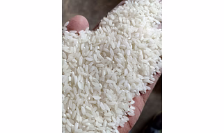 Rice, IR64 -, Sona Masoori etc