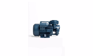 Industrial Motors