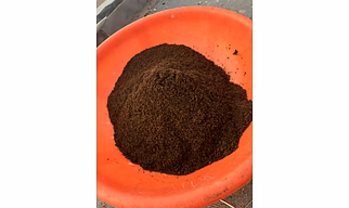 cow dung powder