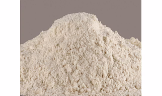 dehydrated onion powder