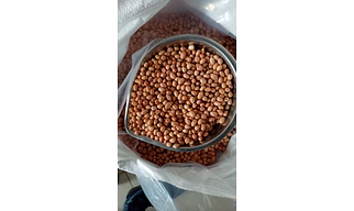 peanuts