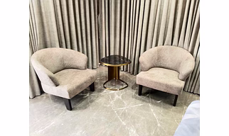 Designer Upholstered Lounge Chair