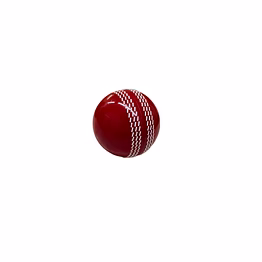 red best quality i20 cricket ball for practice