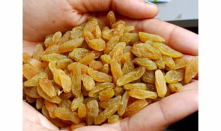 Long raisins