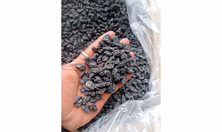Black Rasins