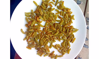 Dried Grapes (Raisins)