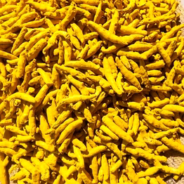 turmeric polished and unpolished