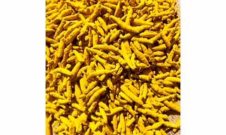 turmeric polished and unpolished
