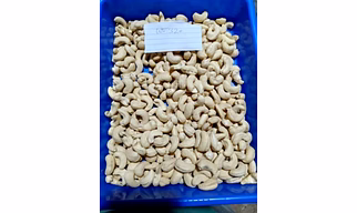 Cashew Nuts