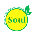 SOUL LOGO