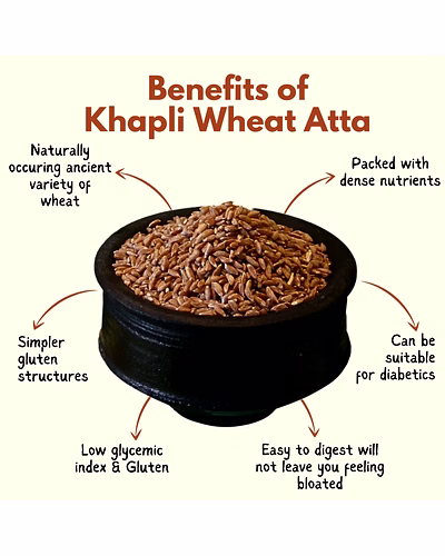 Premium Khapli Wheat (Emmer Wheat) – Bulk Supply | Organic Ancient Grain Supplier from India-3