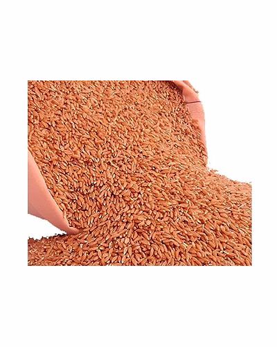 Premium Khapli Wheat (Emmer Wheat) – Bulk Supply | Organic Ancient Grain Supplier from India-KHAPLI-40KG