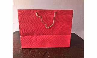 Paper Carry Bag