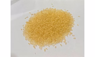 Sona masoori rice
