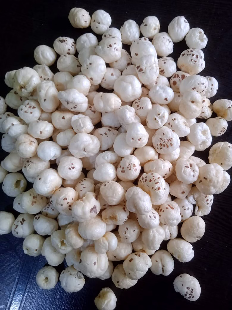 makhna
