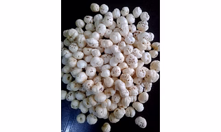 MAKHNA