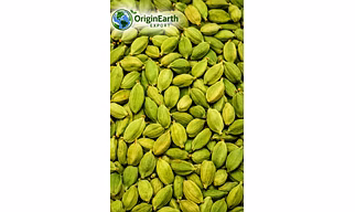 Green cardamom