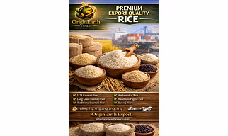 Rice