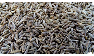 Cumin seeds