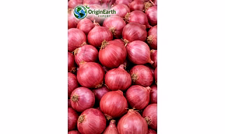 Onion