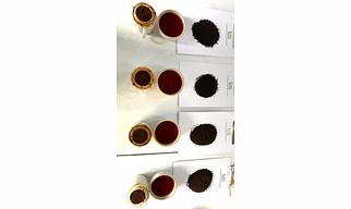 Assam & Dooars CTC