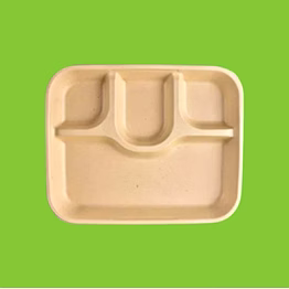 [4-compartment, 10 count, beige disposable bagasse plates | eco-friendly sugarcane meal tray for wedding, party, picnic, event | mess-free sections