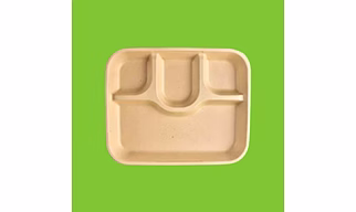 [4-Compartment, 10 Count, Beige Disposable Bagasse Plates | Eco-Friendly Sugarcane Meal Tray for Wedding, Party, Picnic, Event | Mess-Free Sections