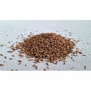 Whole Cumin Seeds