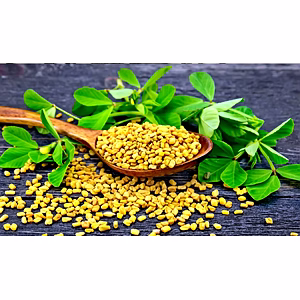 Fenugreek (Methi)