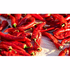 Dry Red Chillies (Whole)