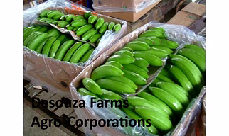 Banana