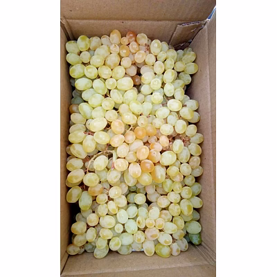 grapes