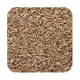 cumin seeds