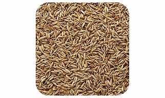 CUMIN SEEDS