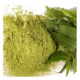 dry neem leaves powder