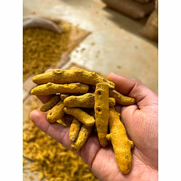 turmeric tukadi kaddapa good grade