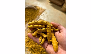 Turmeric Tukadi Kaddapa Good Grade