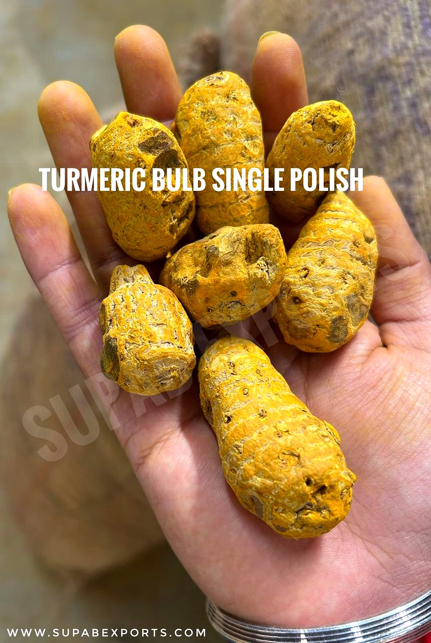 Turmeric Bulb Salem (Gatta) image 1