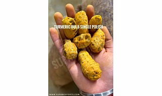 Turmeric Bulb Salem (Gatta)
