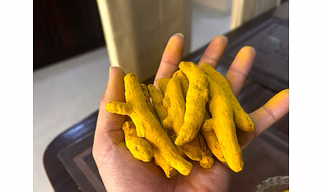 Turmeric Fingers Jumbo Grade